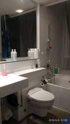 One Amber (D15), Condominium #174010902